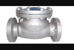 CHECK VALVES IN KOLKATA