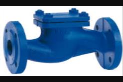 CHECK VALVES SUPPLIERS IN KOLKATA