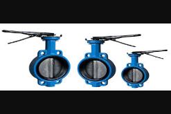 CAST IRON ( CI ) VALVES DEALERS IN KOLKATA