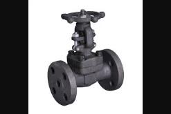 STEAM VALVES SUPPLIERS IN KOLKATA