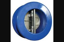 DUAL PLATE CHECK VALVES IN KOLKATA